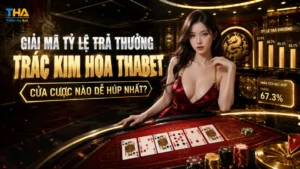 Giải Mã Tỷ Lệ Trả Thưởng Trác Kim Hoa Thabet: Cửa Cược Nào Dễ Húp Nhất?